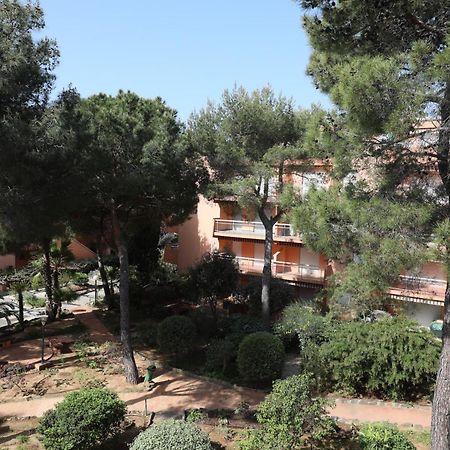 L'Amiraute 150M De La Plage Bormes-les-Mimosas Dış mekan fotoğraf